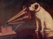 Perro Aristocrático maricón