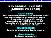 Educador(a) Suplente(Colonia Valdense)