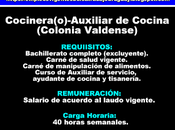 Cocinera(o)-Auxiliar Cocina(Colonia Valdense)