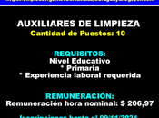 Auxiliares limpieza