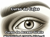 Curso Cejas Modalidad 100% Virtual Acceso Gratis