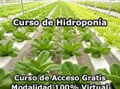 Curso Hidroponía Modalidad 100% Virtual Acceso Gratis