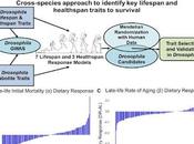 Identifican metabolitos afectan longevidad humanos