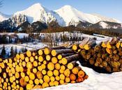 Altos Tatras, techo puntiagudo Eslovaquia Voyageurs