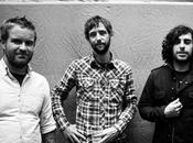 Compliments Band Horses