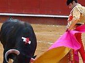 crónicas, tiempos torero