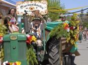 Fiesta Nacional Cerveza: