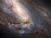 Telescopio Hubble obtiene nueva imagen inusual galaxia