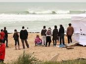 curl "playa palmar"