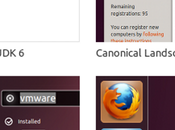 Ubuntu Business Desktop Remix: enfocado empresas.