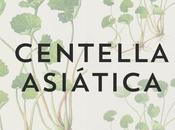 Centella asiática, hierba juventud.