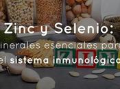 Zinc Selenio: Minerales esenciales para sistema inmunológico