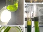 Ciencias