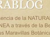 Entrevista Emilio José Orovengua, autor blog NATURABLOG: "Soy incondicional dinosaurios"