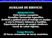 Auxiliar servicio