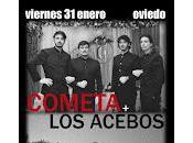 Cometa Acebos Salvaje