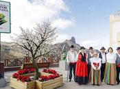 Tejeda, pueblos bonitos España, inicia preparativos para Fiestas Almendro Flor 2025