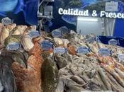 Pescadería Younes Ceuta, referencia pescados mariscos frescos Mediterráneo