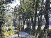 Camino Santiago, Sobrado Monxes, Santa Irene