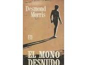 mono desnudo