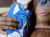 mejores vídeos 2024