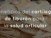 Beneficios cartílago tiburón para salud articular