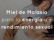 Miel Malasia para energía rendimiento sexual