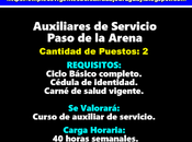 Auxiliares Servicio Paso Arena