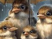 6.077 gotas lluvia...