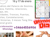 Curso Palacio Vida 2025