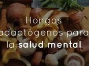 Hongos adaptógenos para salud mental
