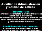Auxiliar Administración Gestión Cobros