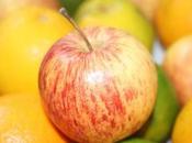 Todo necesitas saber sobre hotel granja solo lugar