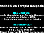 Licenciad@ Terapia Ocupacional