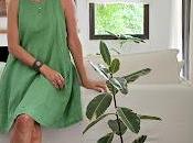 Plantas interior: tres bellas variedades FICUS