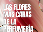 Estas notas caras perfumes.