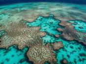 Destinos Imprescindibles para Amantes Buceo