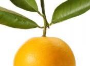 bergamota, fruta antidepresiva