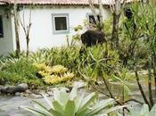 casa R.Burle Marx