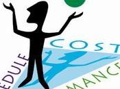 verdaderas fases proyecto Software
