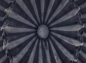 Metalic Flower #photography