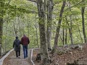 Explorando Montseny: viaje guiado patrimonio natural cultural