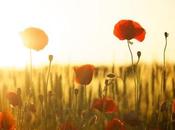 Aventúrate amanecer Oropesa Mar: puedes perder