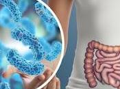 nueva terapia virus podría eliminar bacterias dañinas alterar flora intestinal