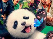 MODALTERNA. Cinema 33mm. “Panda Plan”: cuando Jackie Chan mismo