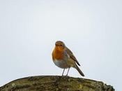 Jardines Tamarita Barcelona, Cataluña, España