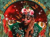 Morcheeba Call love (2025)