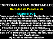 Especialistas contables