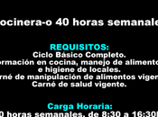 Cocinera-o horas semanales