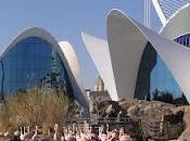 Oceanogràfic Valencia